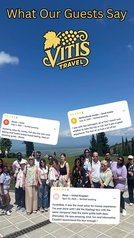 Celebrating 10 Years Of Vitis Travel!