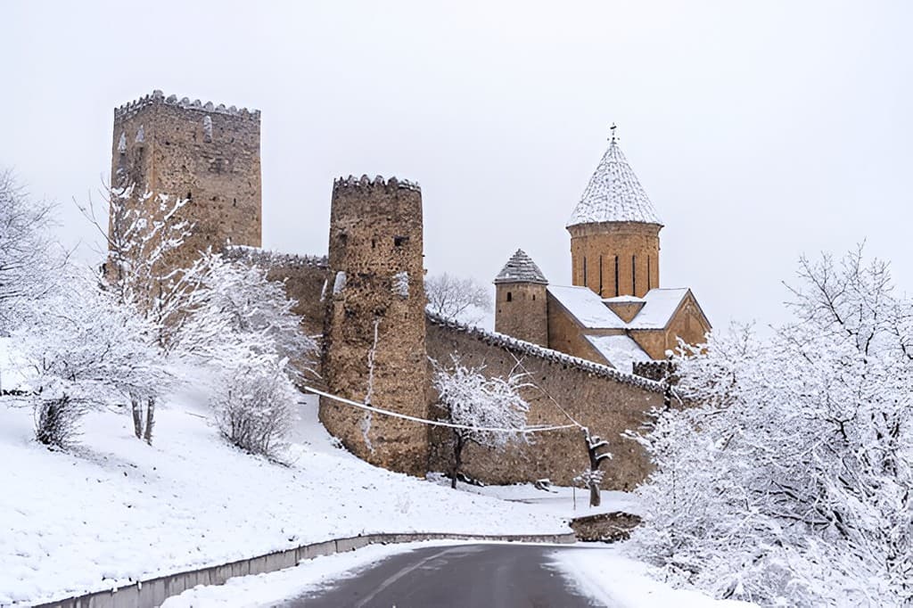 1764184066671-steptodowncom277162