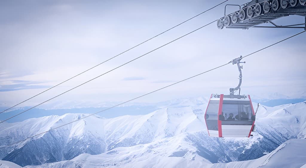 1764184066674-steptodowncom618038