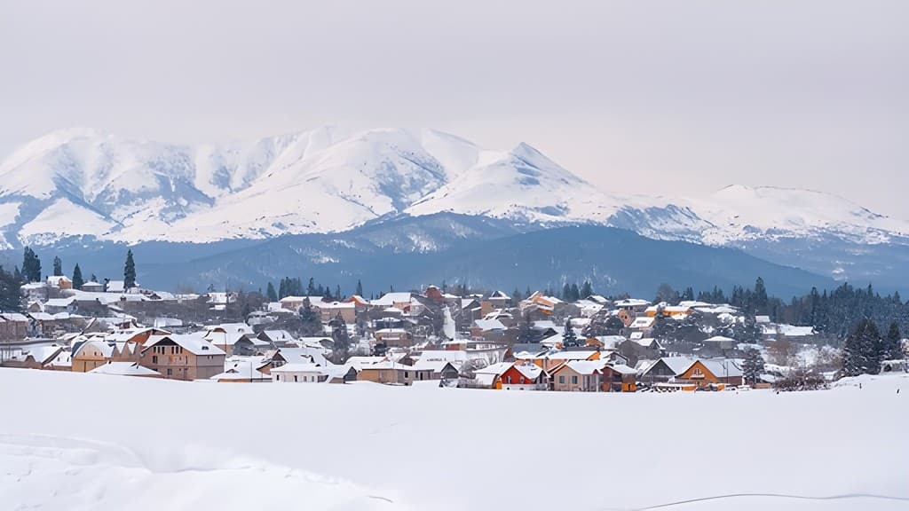 1764184241811-steptodowncom346099