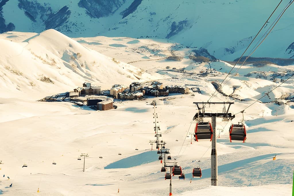 1764184852834-steptodowncom546933