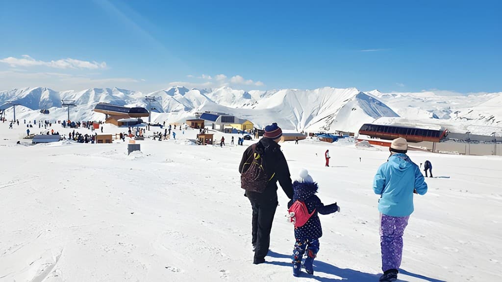 1764184852834-steptodowncom557676