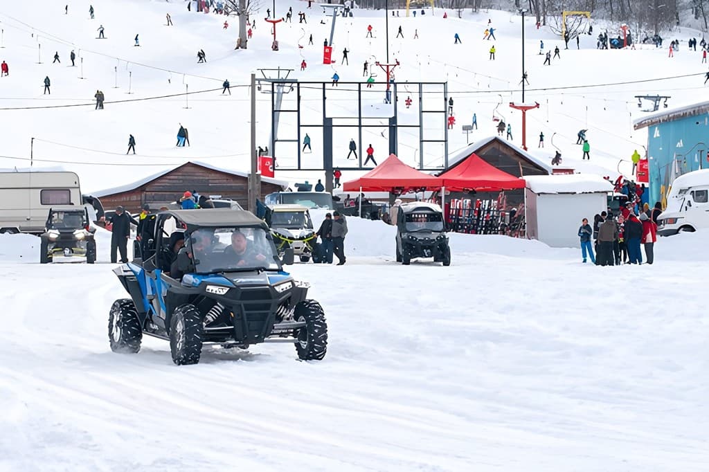 1764184852836-steptodowncom713397