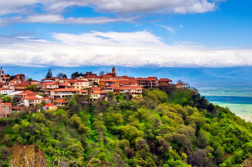 1770542698727-Picsart_24-03-15_18-38-46-073