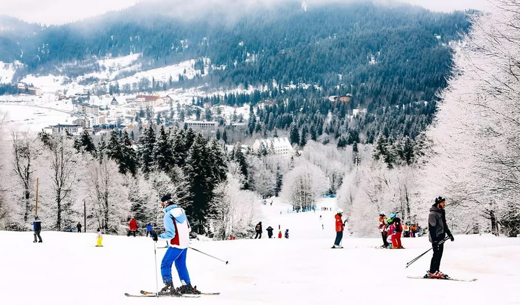 1773149734307-Picsart_24-12-30_13-39-38-879