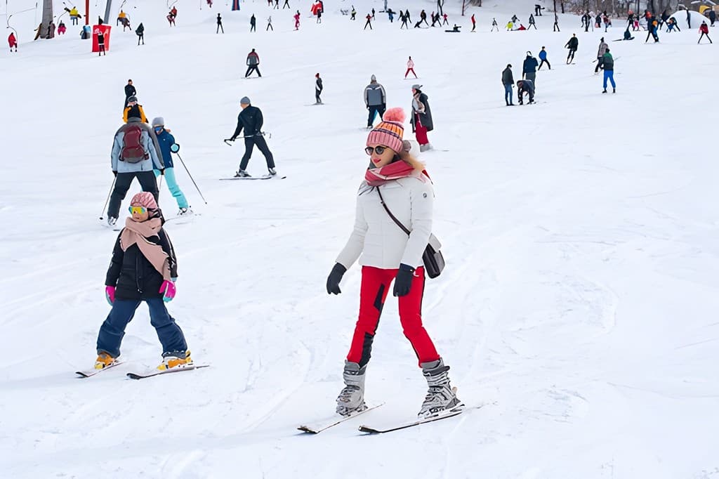 From Tbilisi to Borjomi and Bakuriani Ski Resort VIP DayTrip