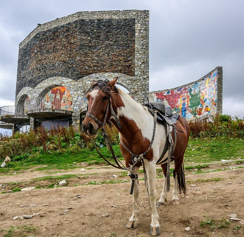 1773224320308-wwwbeatsnoopcom-3000-k5vbWPHSZI